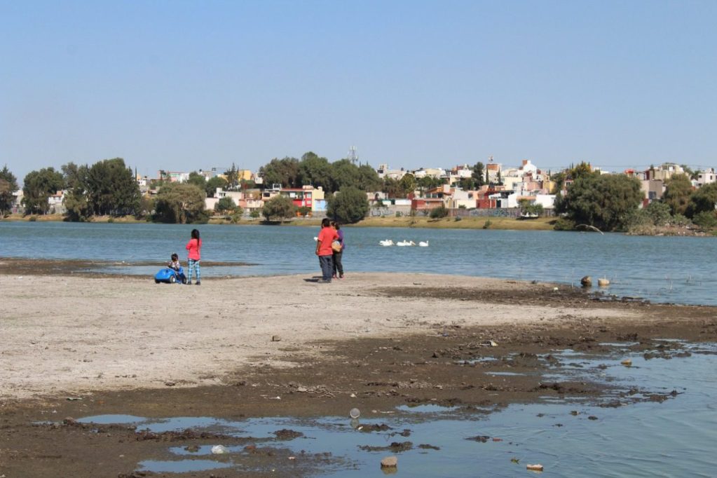 Niños jugando junto a un lago en una zona arenosa, con casas al fondo y patos nadando en el agua.