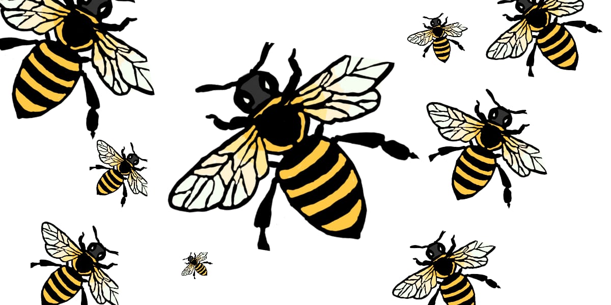 abejas