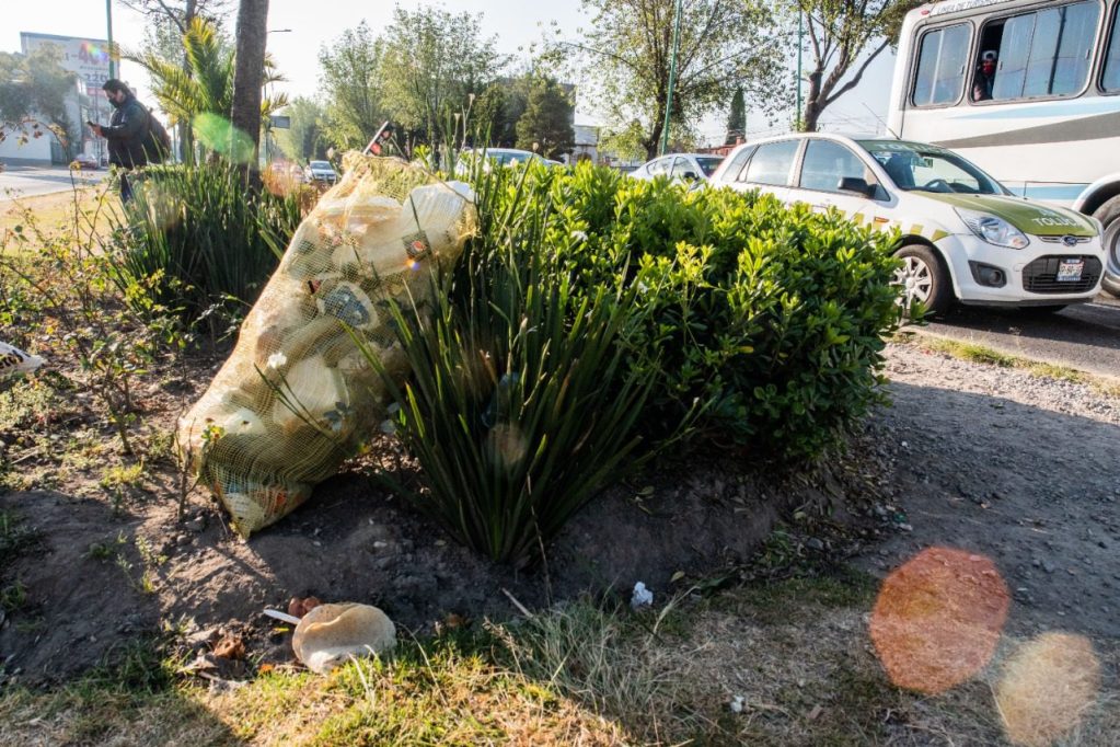 basura-toluca-2