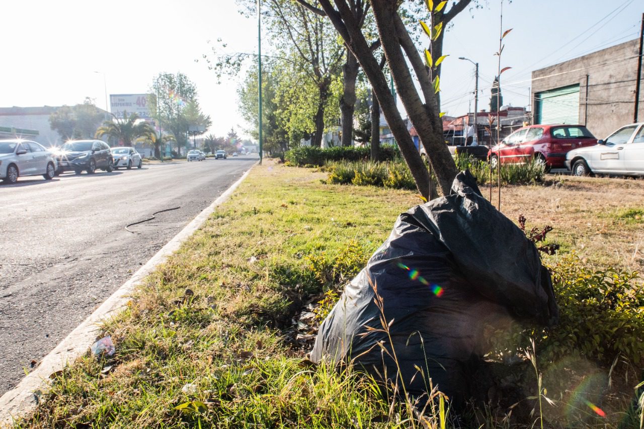 basura-toluca-3