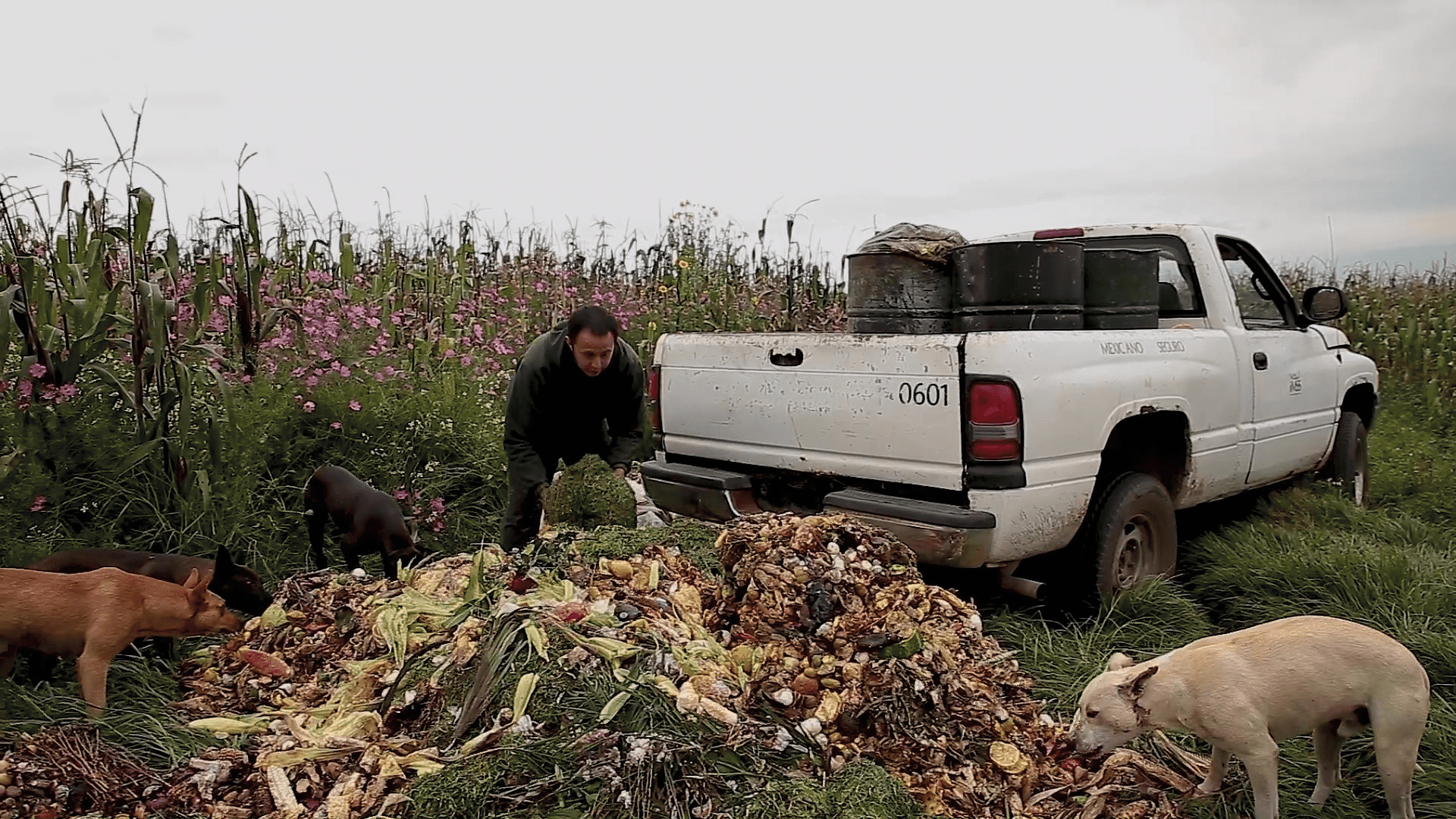 mexico-energico-residuos-organicos-3