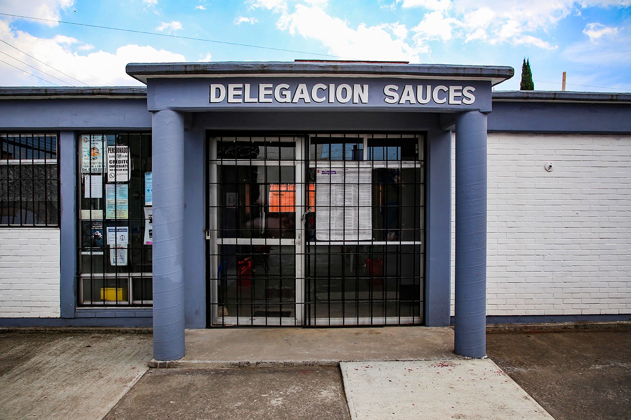 delegación-Sauces