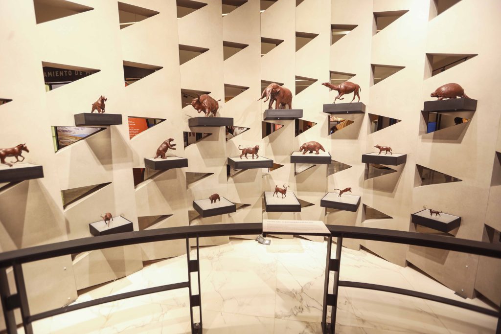 museo-mamut-AIFA