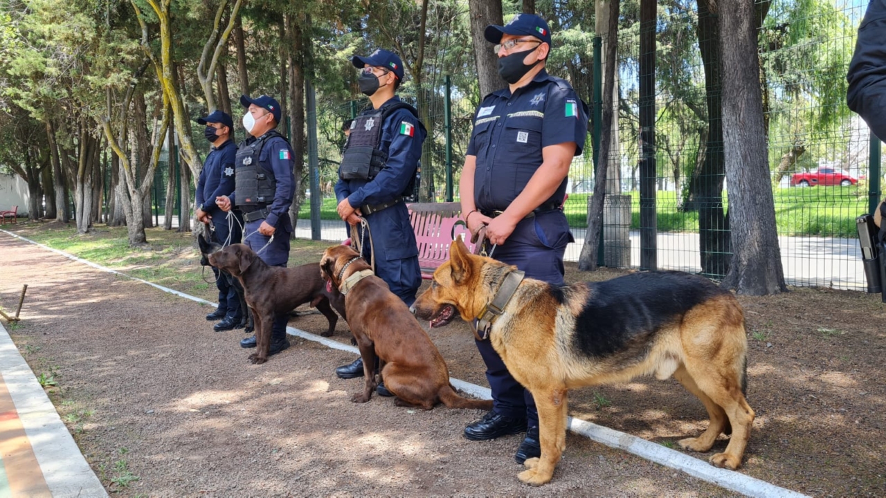 policía-proximidad