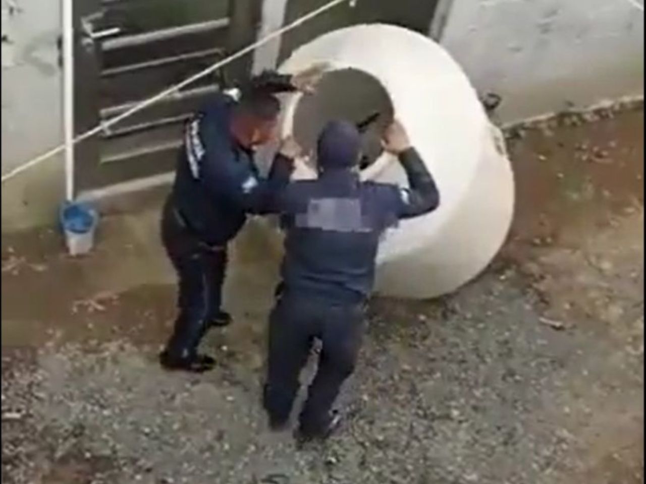 Captura niña Chalco