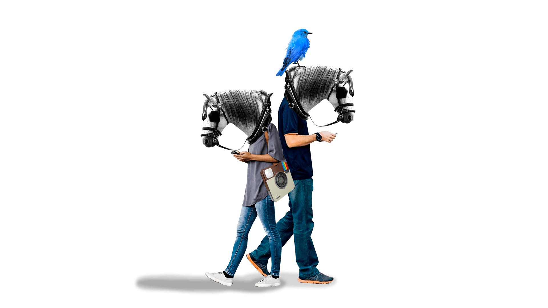 internet