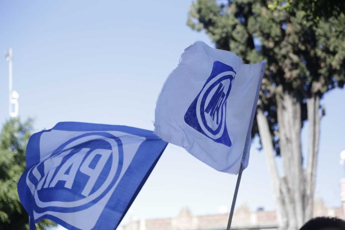 banderas-partido-accion-nacional-