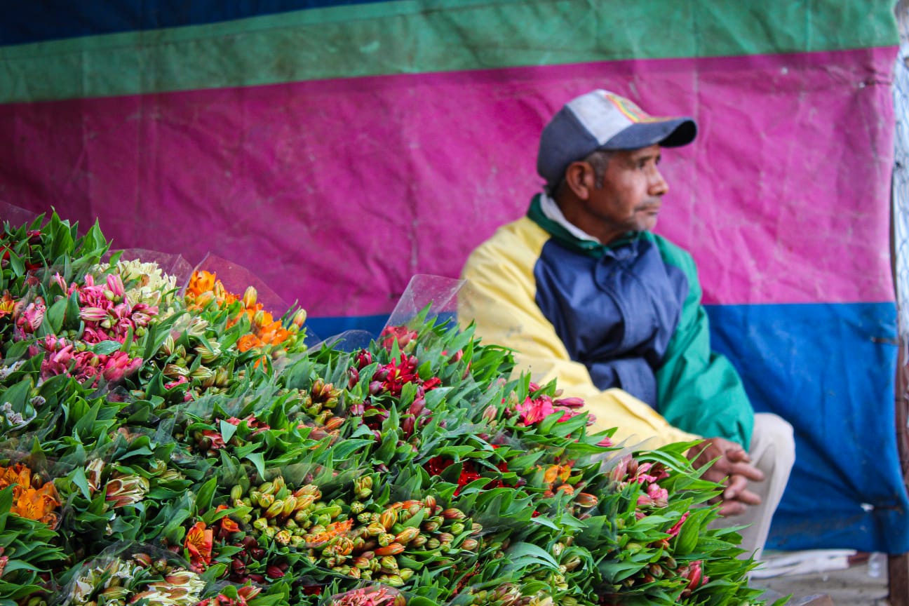 mercado-flor-Tenancingo6