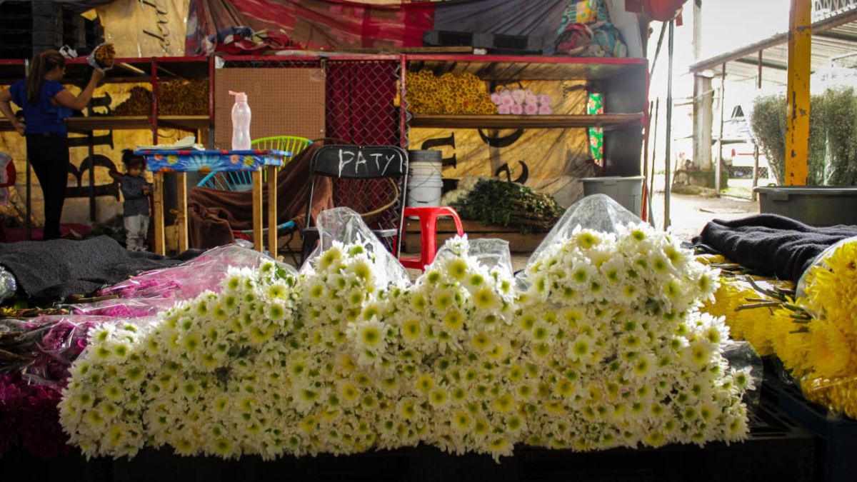 mercado-flor-Tenancingo6