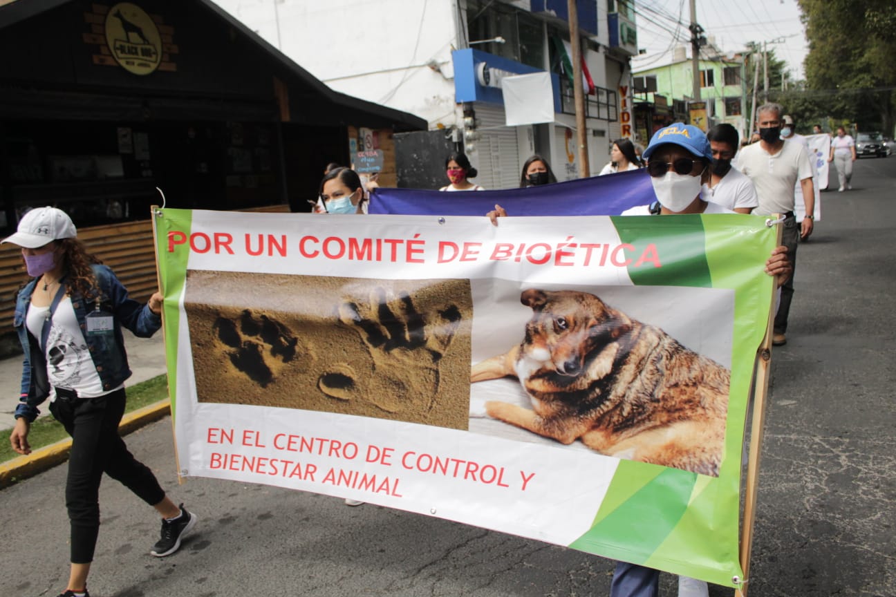 protesta-perros-Toluca
