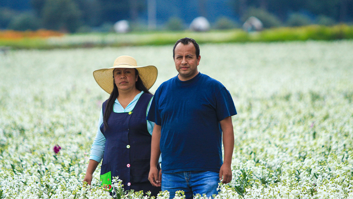 La tradición de flores el día de muertos