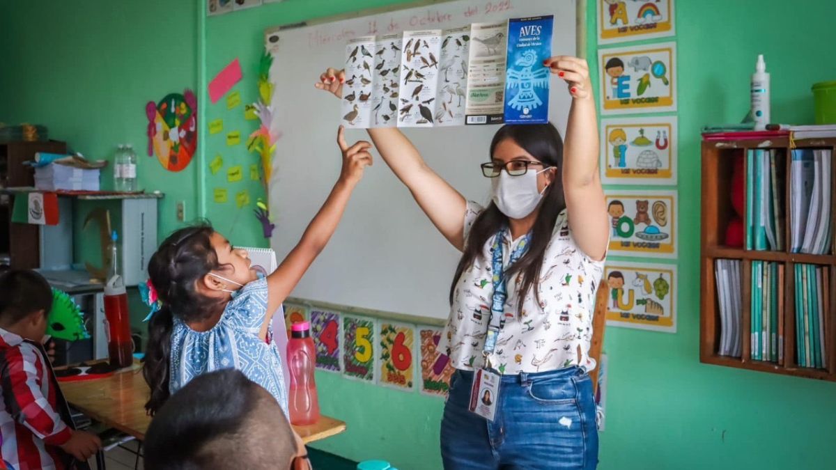 maestra enseñando una ilustración de aves a niños