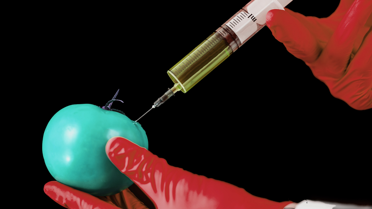 Una persona inyectando un tomate