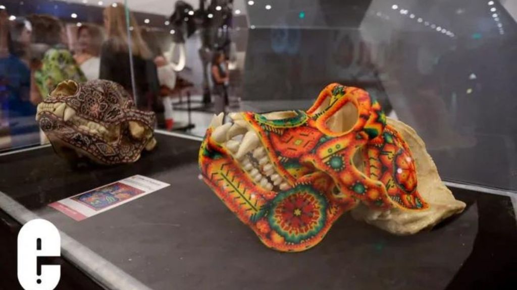 pieza de arte huichol en vitrina