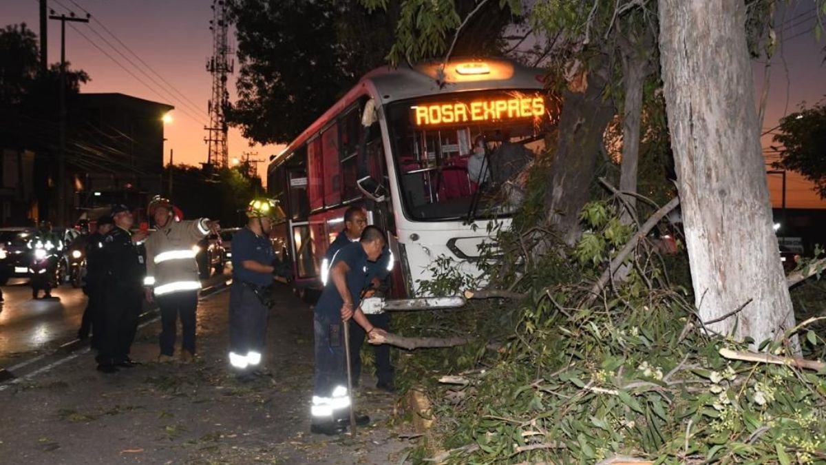 accidente en la Línea 2 del Mexibús