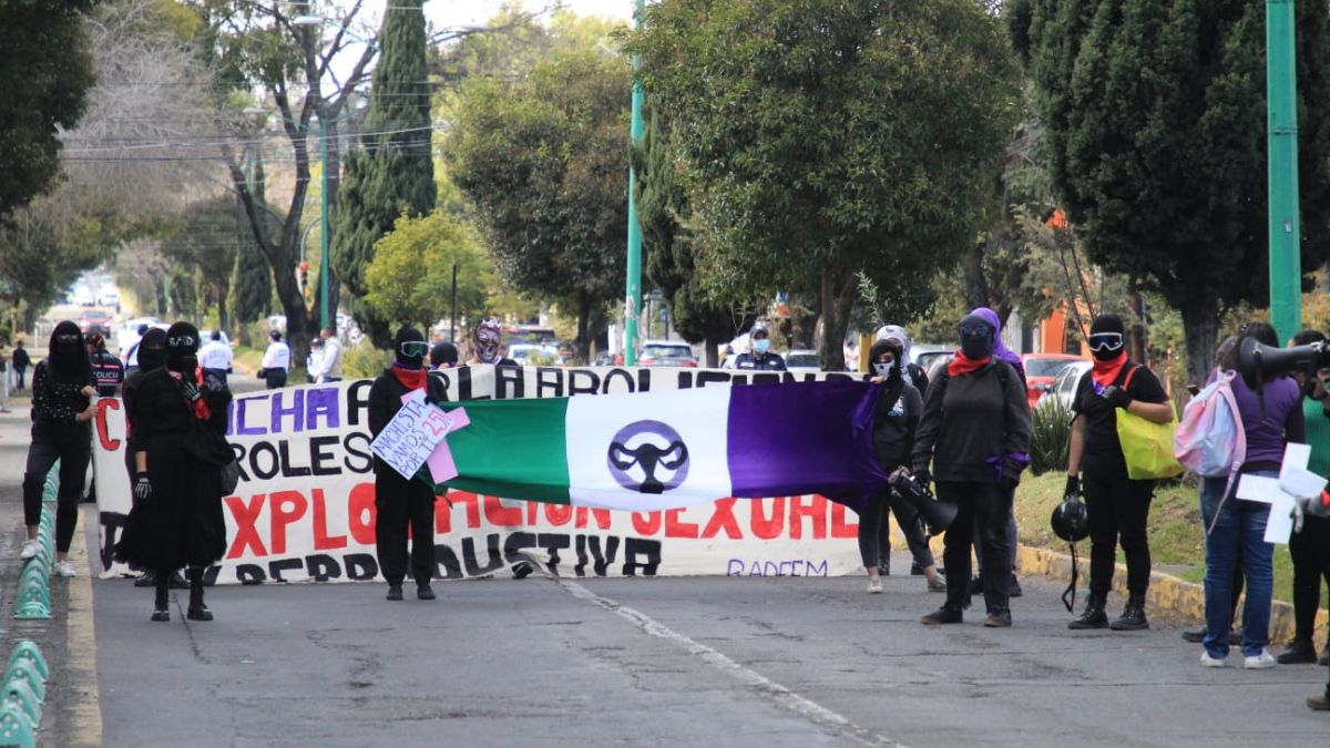 manifestación de feministas en Toluca