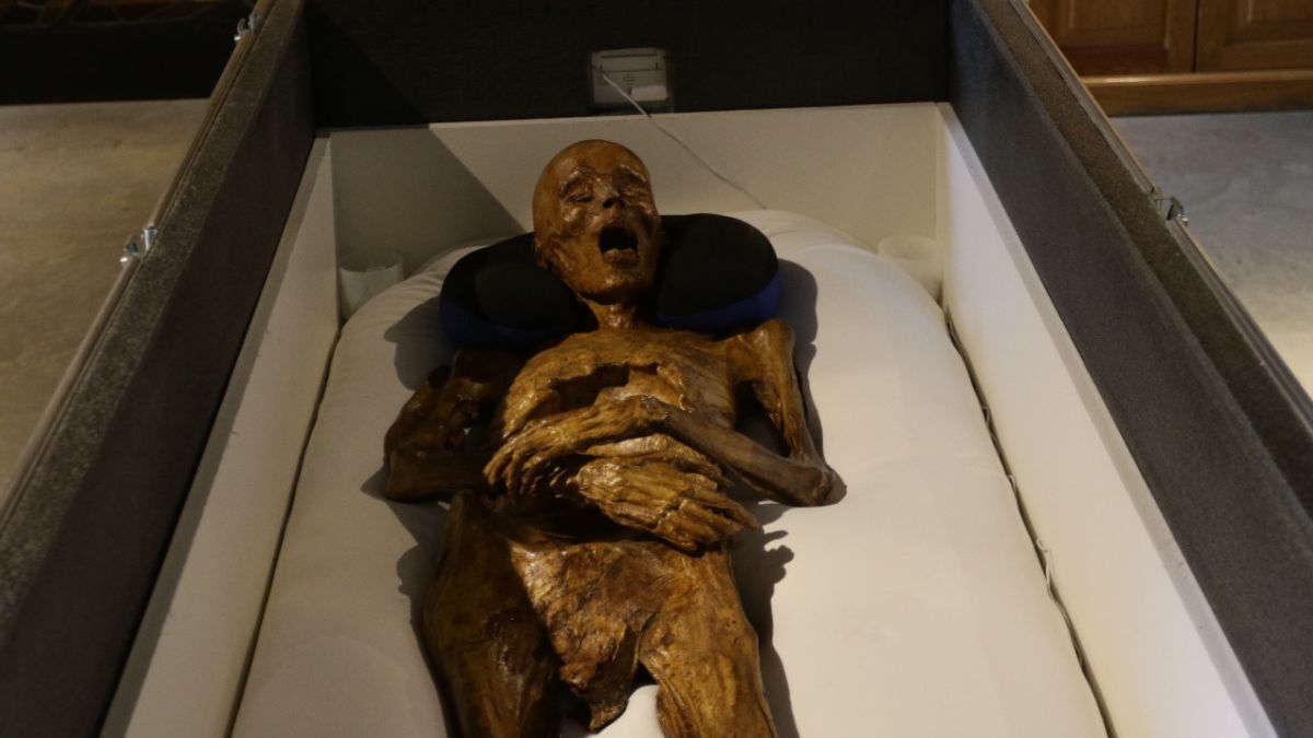 Momia del Padre Botello