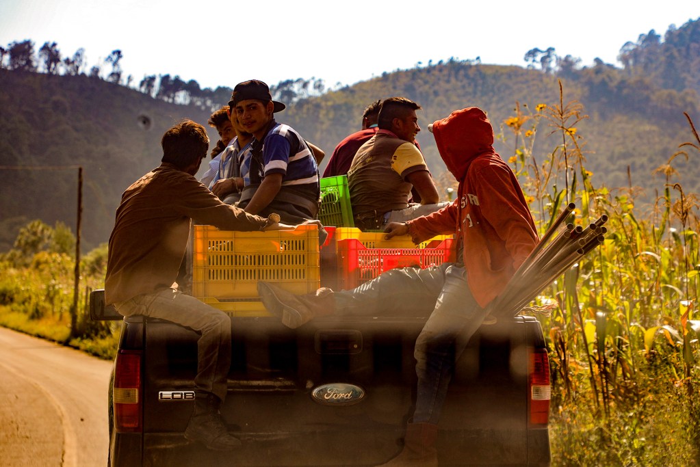 Cortadores de Aguacate en Ixtapan del Oro