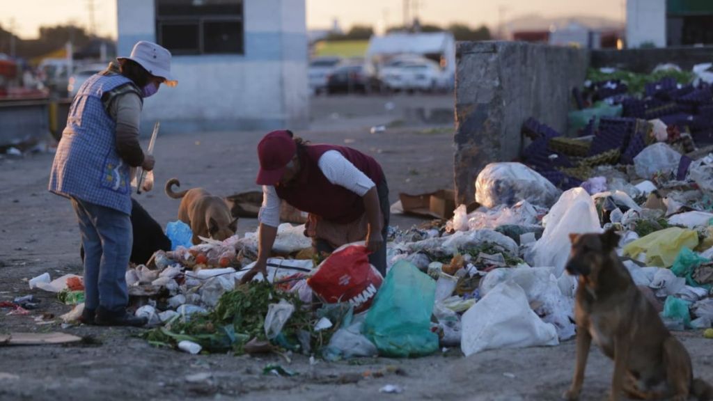 Claudia recolectando basura en la Central de Abasto Toluca