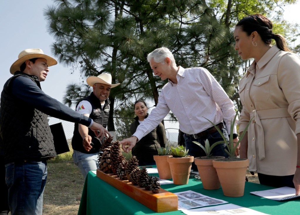 Alfredo del Mazo recorre vivero de Villa Guerrero