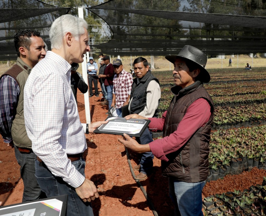 Alfredo del Mazo recorre vivero de Villa Guerrero