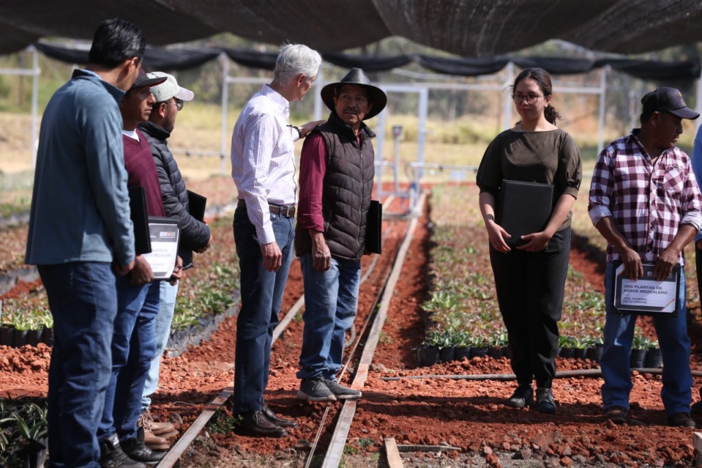 Alfredo del Mazo recorre vivero de Villa Guerrero
