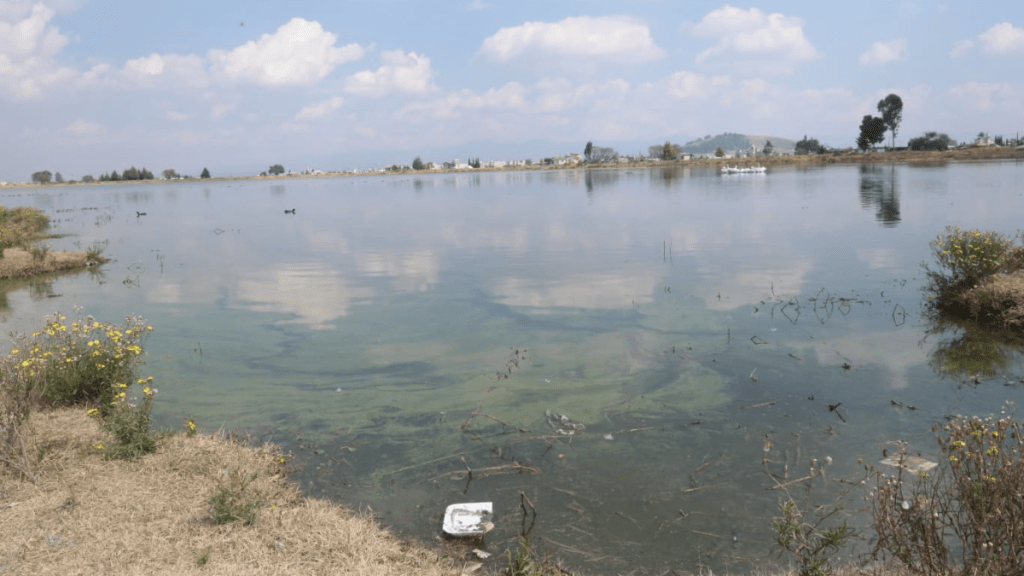 Basura en laguna de "Palmillas", en Toluca