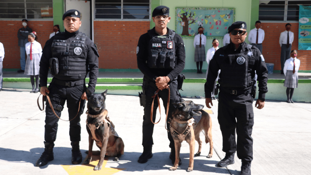 programa Mochila Segura