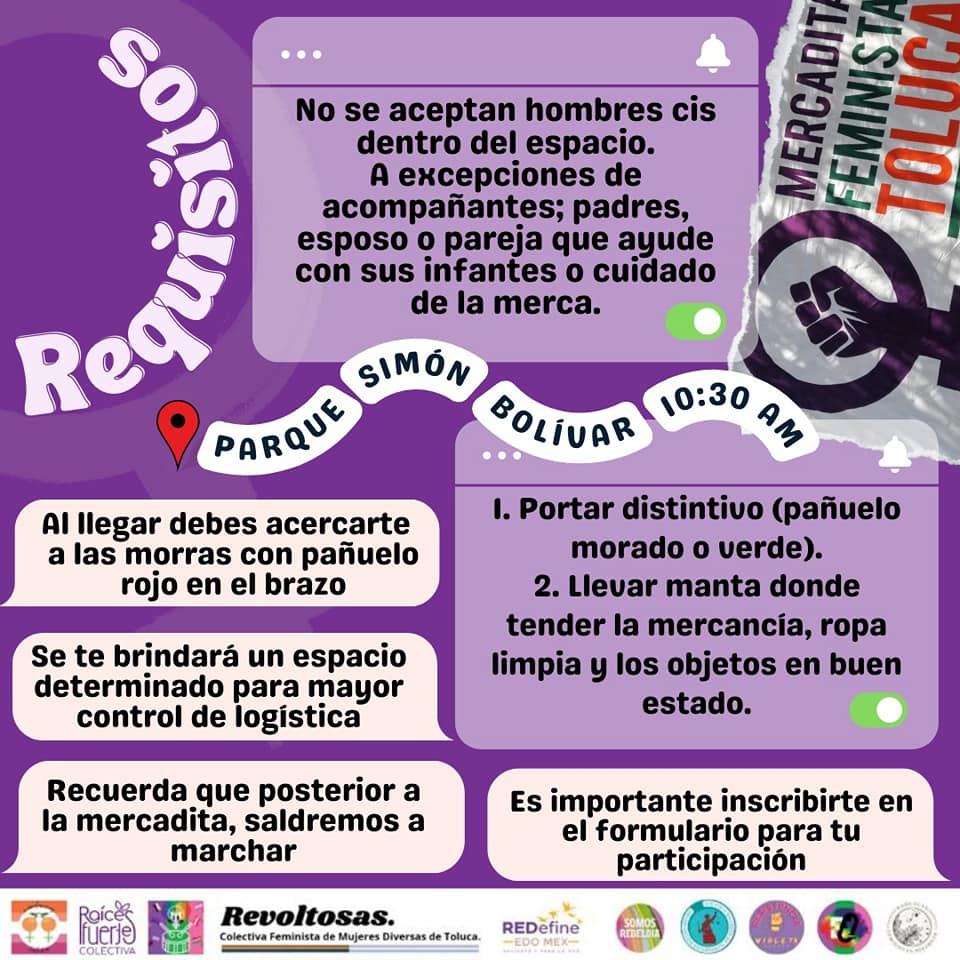 Marcha 8M en Toluca