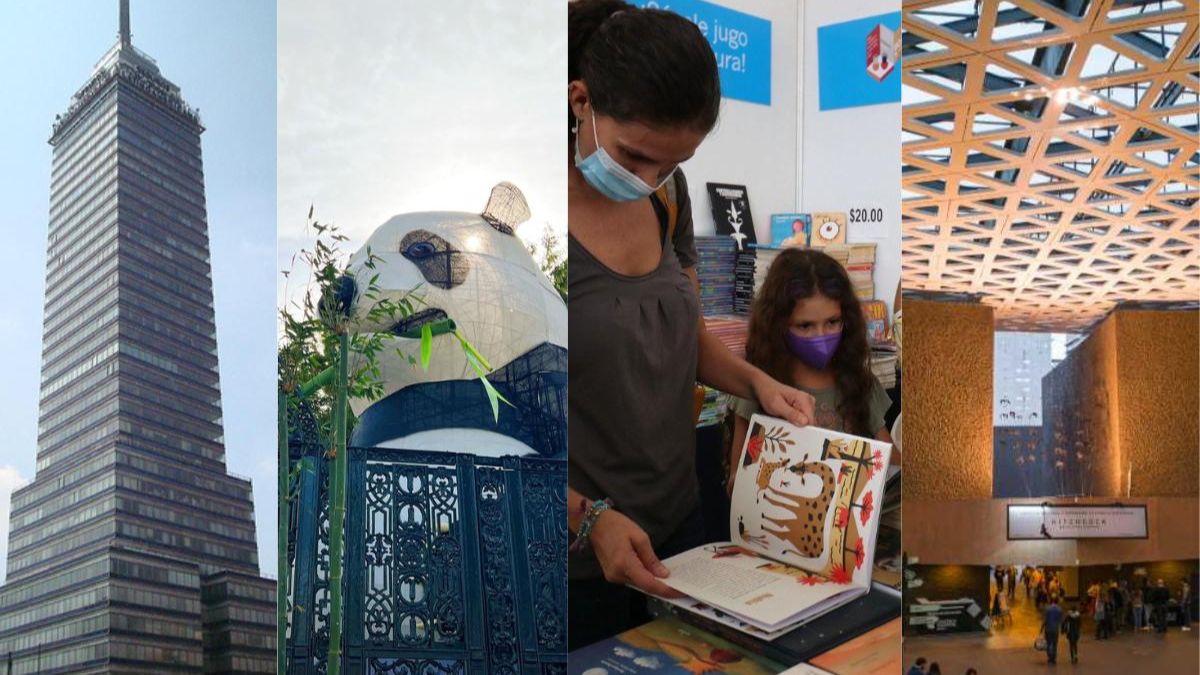 Actividades para realiar en la CDMX
