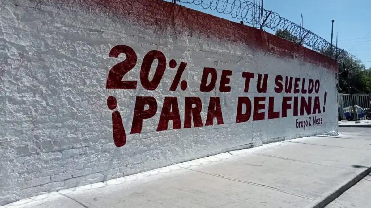 Mensajes de guerra sucia contra Delfina