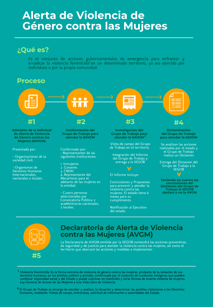 Alerta de violencia de género 