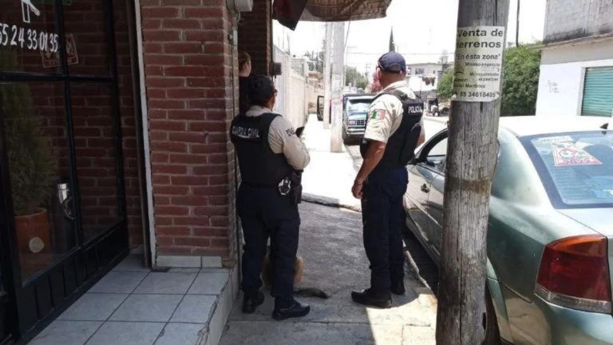 Carniceria en Tecámac donde hombre quemó a perrito