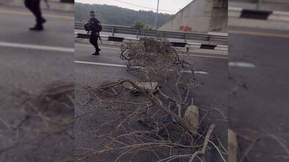 Ramas con que bloquearon autopista Tenango-Ixtapan de la Sal