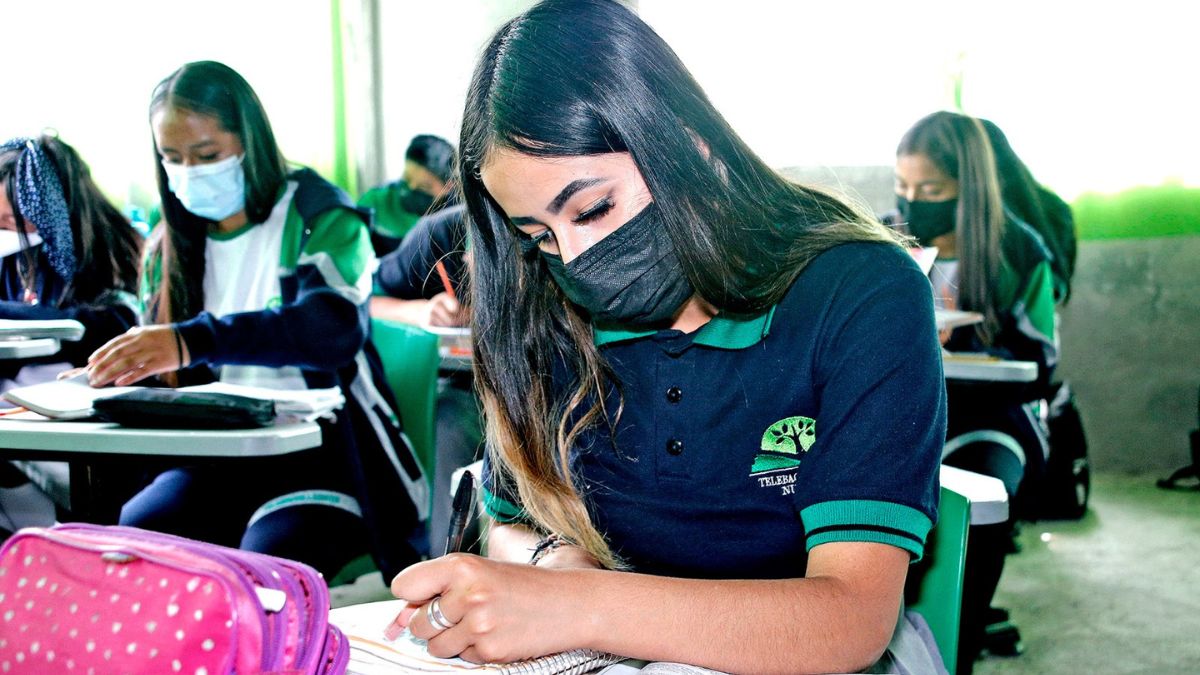 Estudiante del nivel medio superior