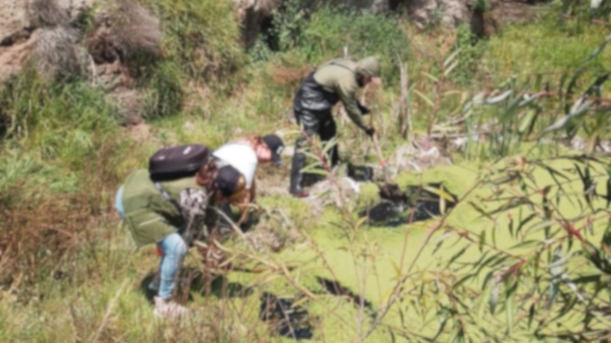 Madres buscadoras localizan cuerpo en río Lerma