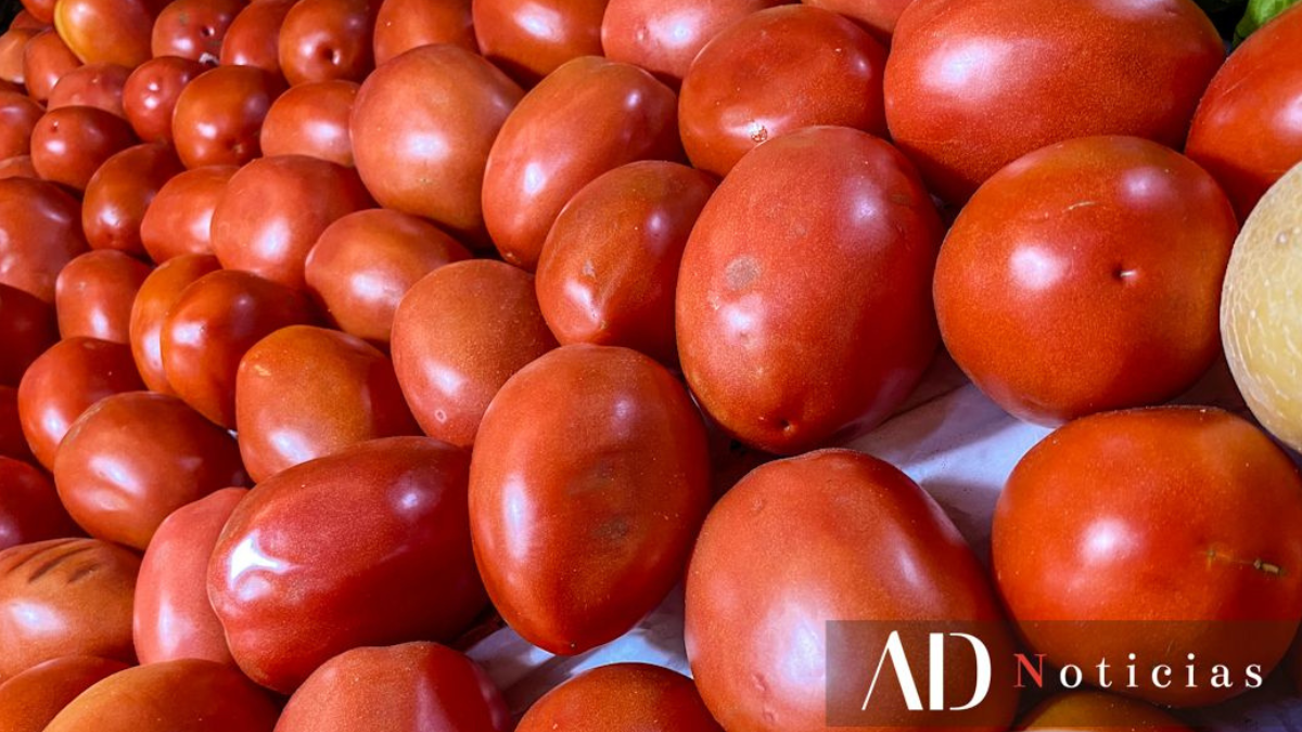 Jitomate en Toluca y Metepec.