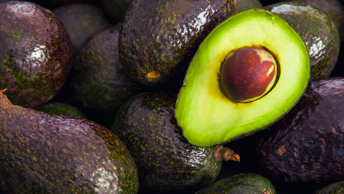 Aguacate