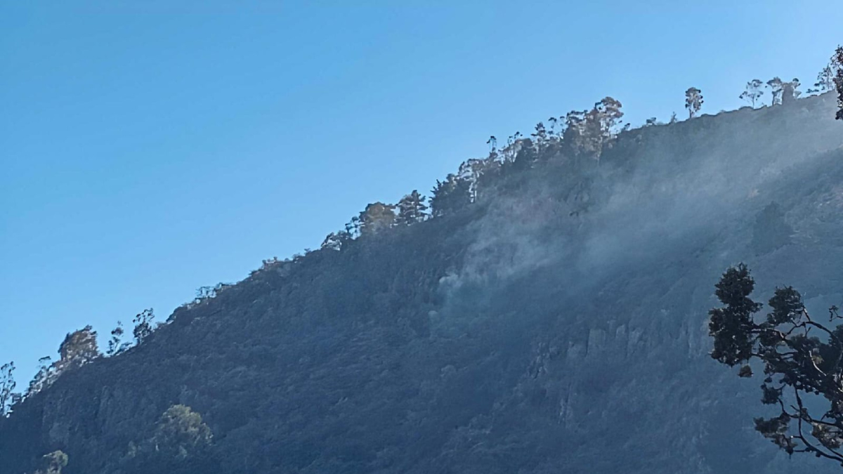 Controlan incendio en La Teresona.