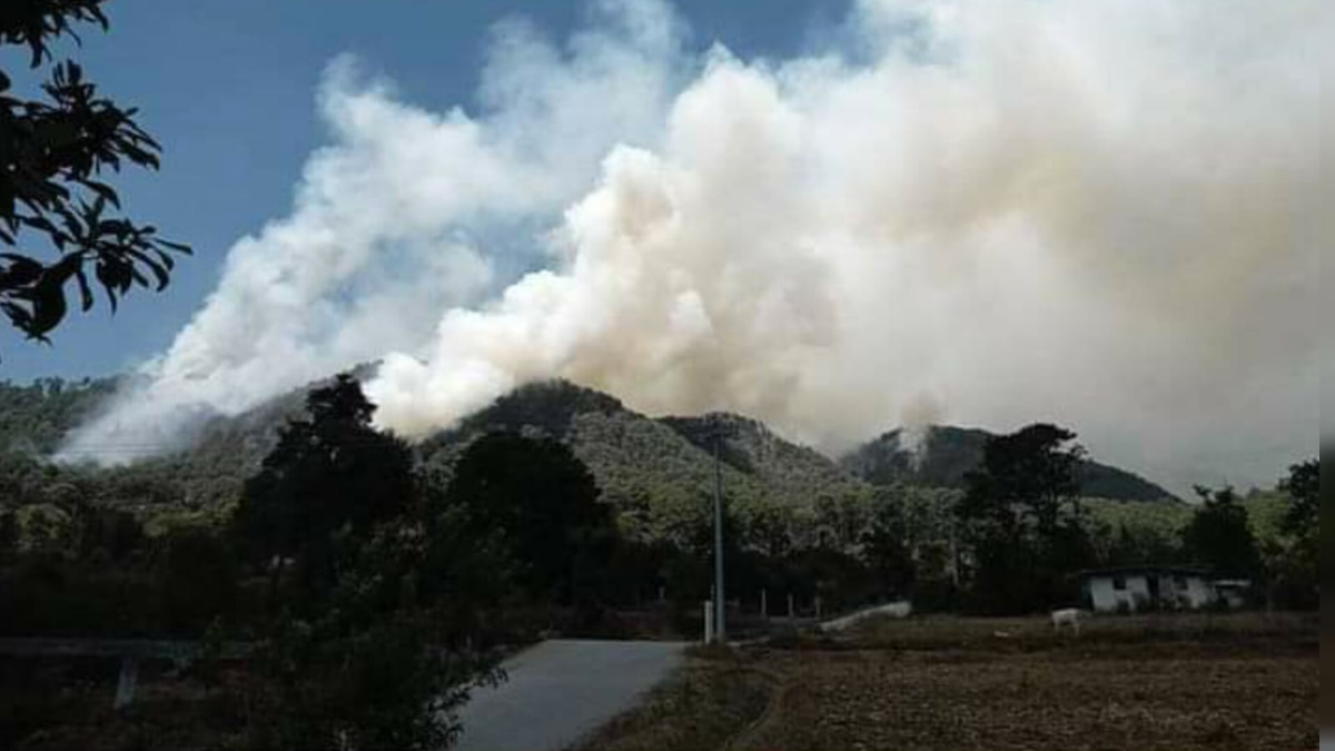 Incendio en Donato Guerra.