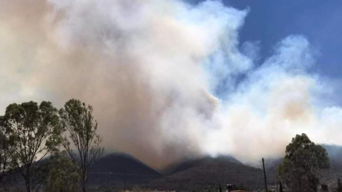 incendio forestal en acambay