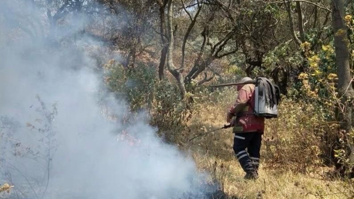 Incendio forestal Lerma