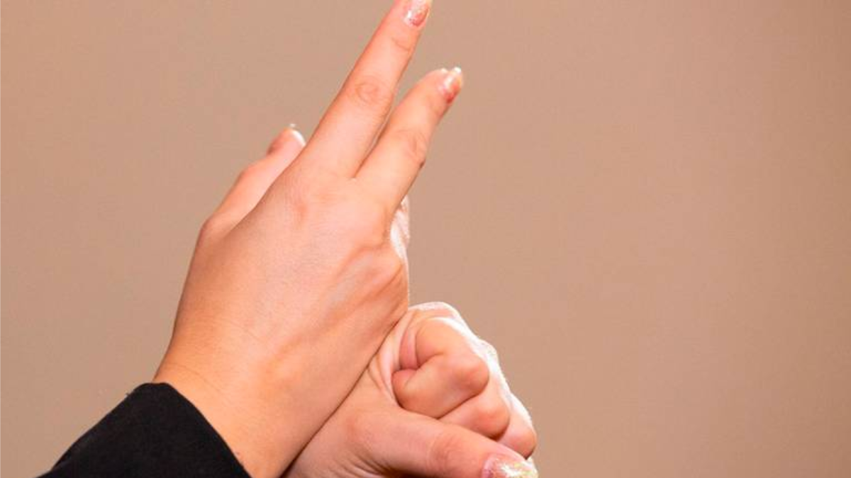 Lengua de Señas Mexicana