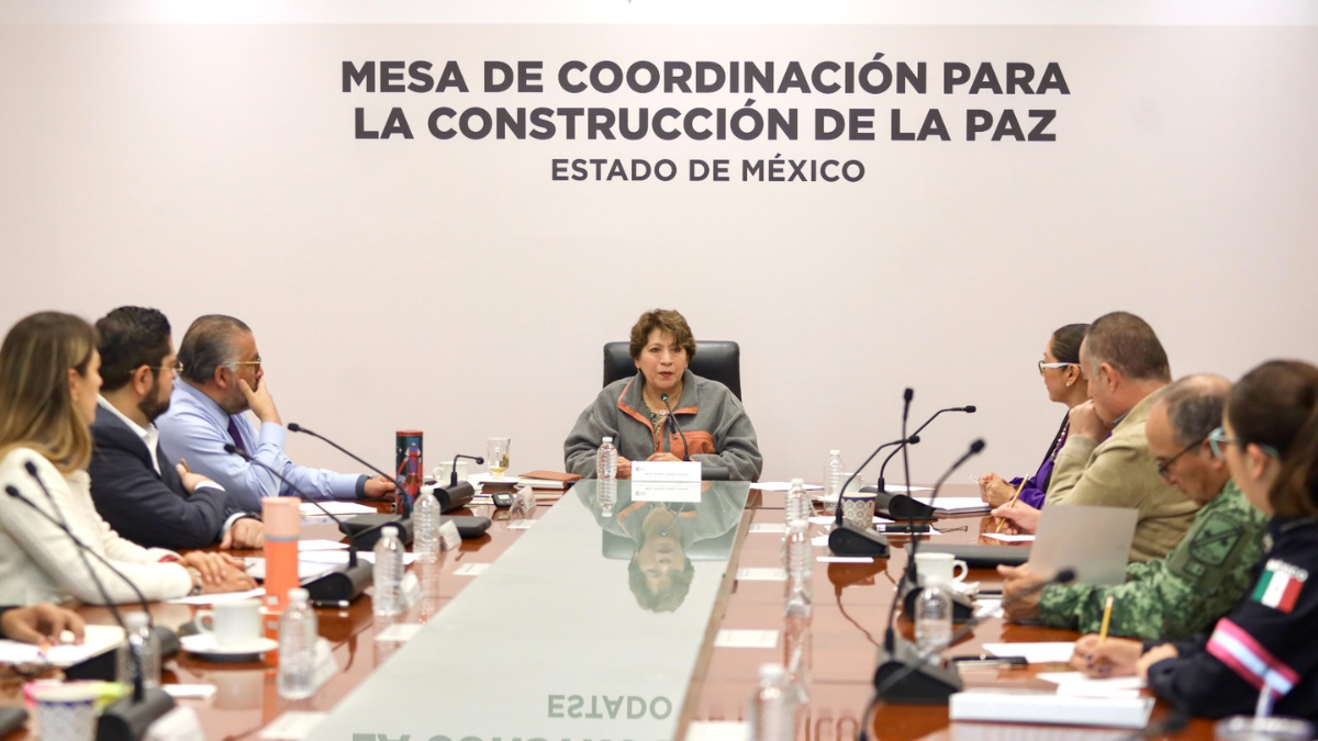 Delfina en la mesa para construcción de la paz