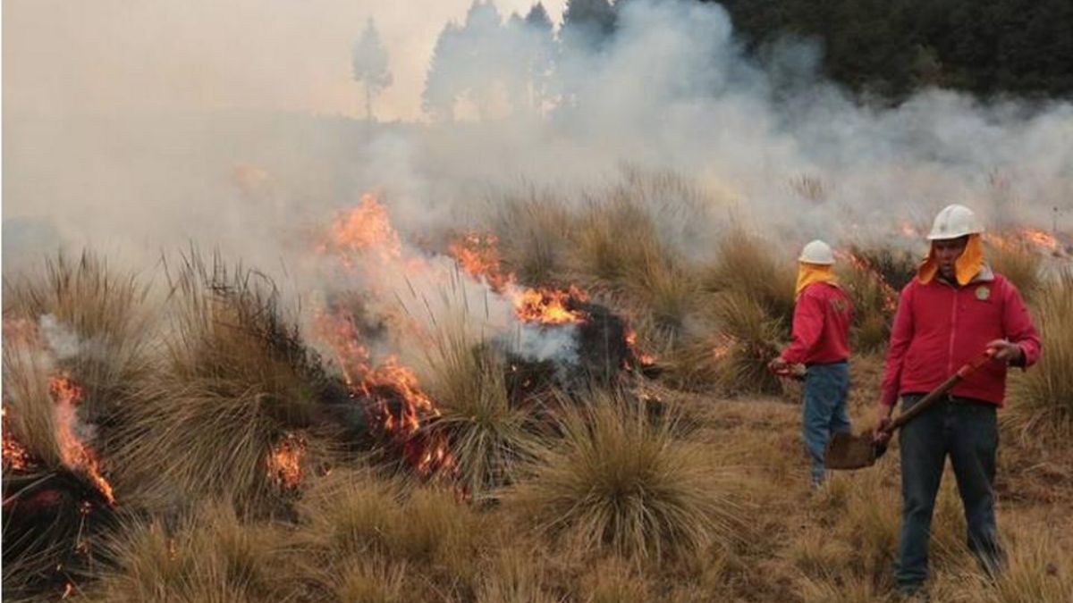 Incendios forestales en el Estado de México.