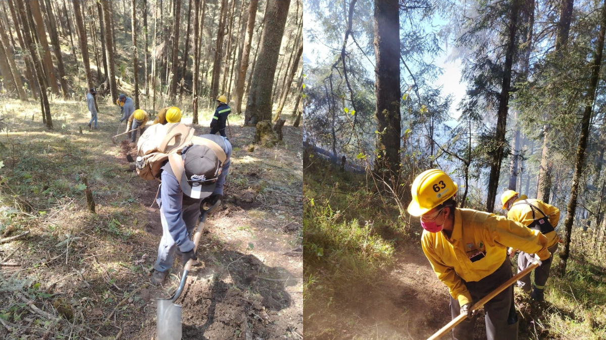 Prevén incendios forestales en Zinacantepec