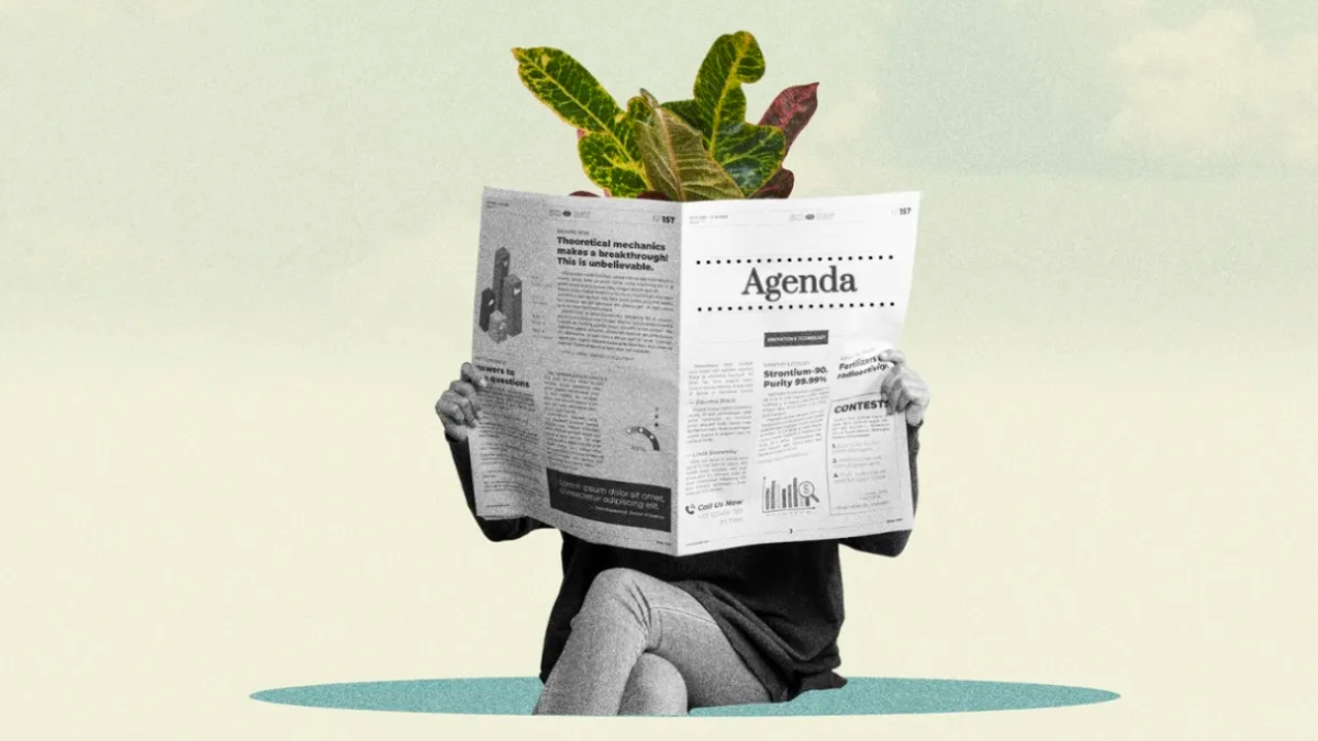 Agenda fin de semana