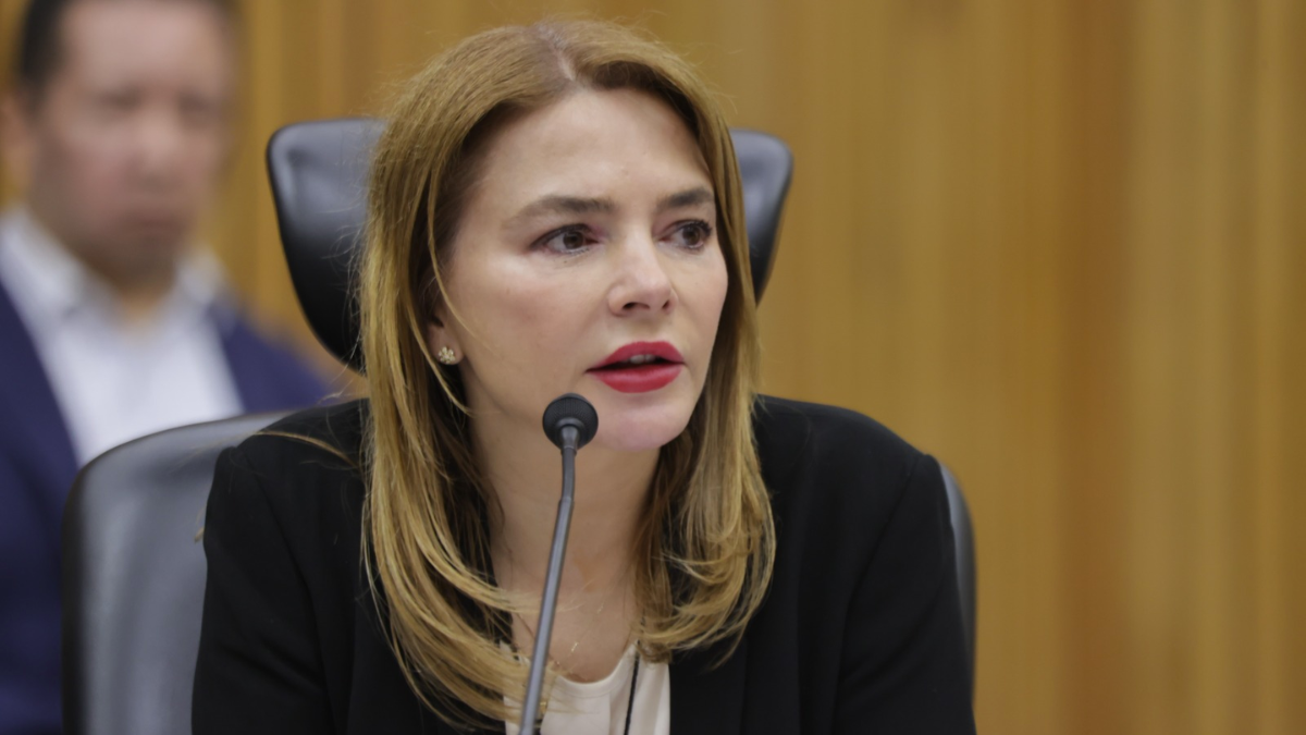 Consejera del INE Carla Humphrey.