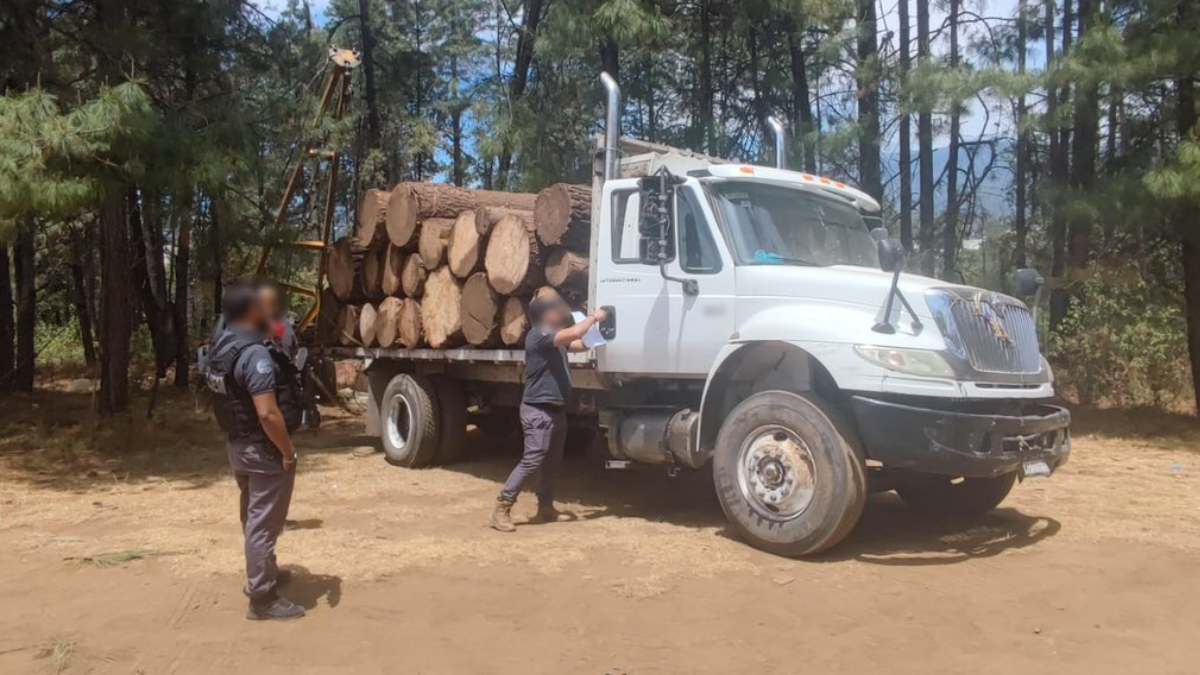 Detienen a presuntos talamontes en el Edomex.
