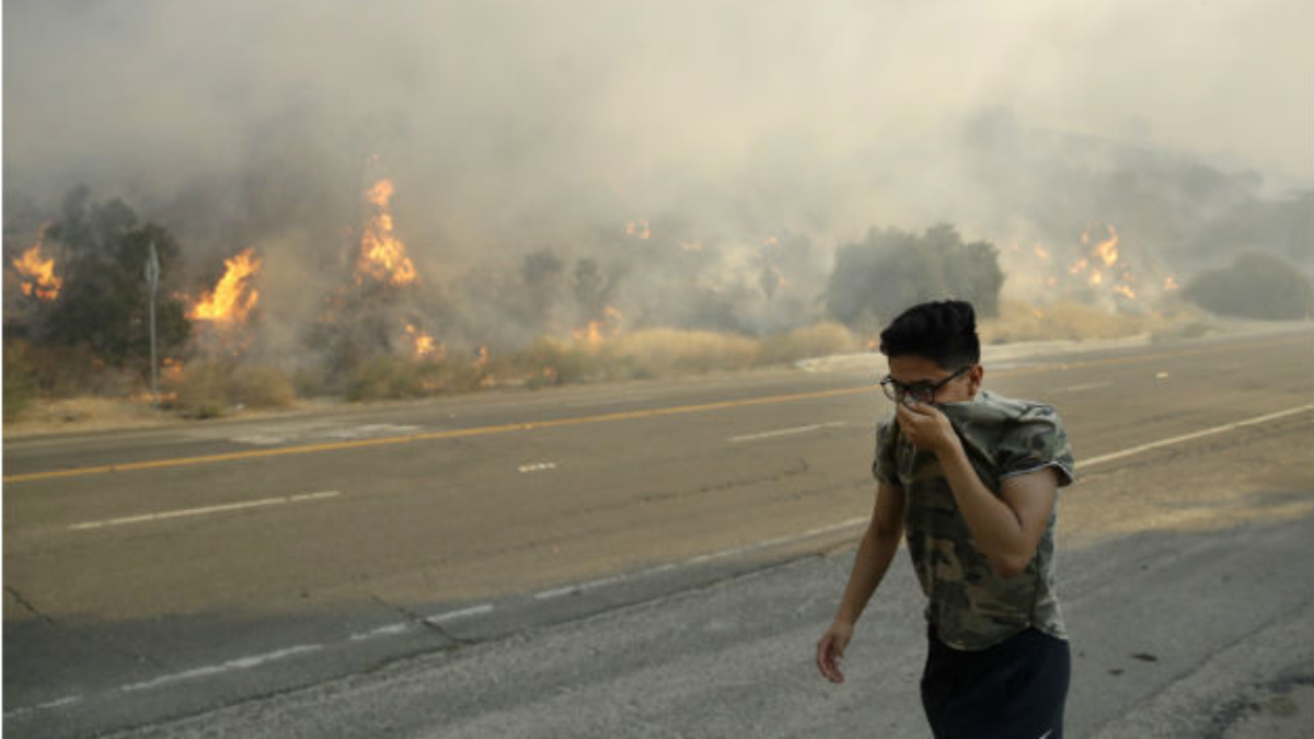 Recomendaciones ante un incendio forestal